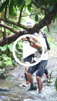 BIB:  <button type="button" onclick="openModal(27534904)" class="btn btn-primary btn-sm float-right" data-toggle="modal" data-target=".modal-high-quality">
                <i class="fa fa-download"></i> Download
                </button>